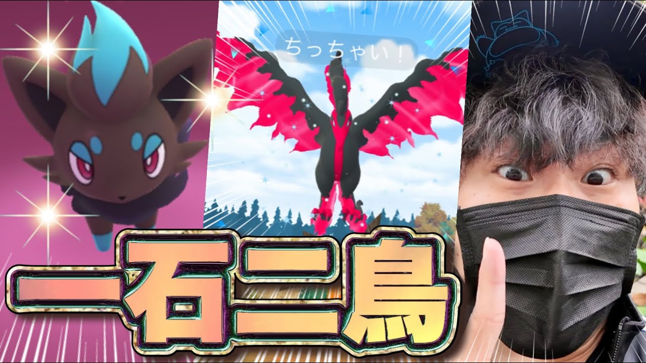 ゾロア色違いとガラル三鳥！！！一石二鳥の効果を得る方法！！！！！