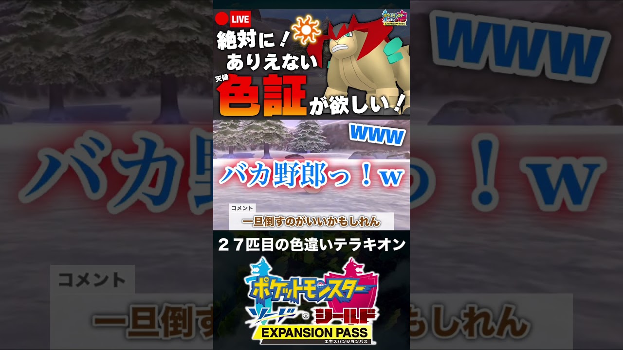27匹目の色違いテラキオンと邂逅した男【ポケモン剣盾】