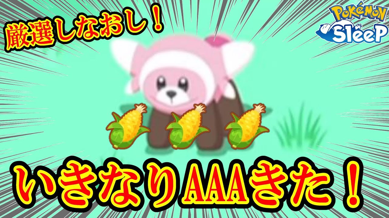 ヌイコグマ厳選しなおします。いきなりＡＡＡの個体来た！【ポケスリ】