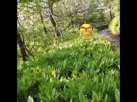 캐터피 ( Caterpie ) キャタピー ( 綠毛蟲 )