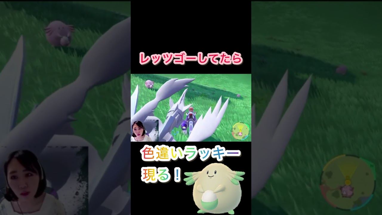 レッツゴーしてたら色違いラッキー現る！ #ポケモン #ポケモンsv #色違い厳選 #金策 #ホワイトキュレム #ラッキー #色違いポケモン #Pokemon