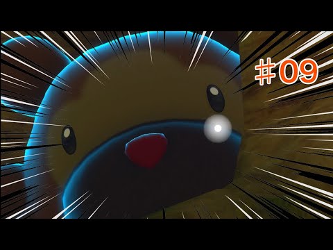 ビックなビッパ／Newポケモンスナップ#09