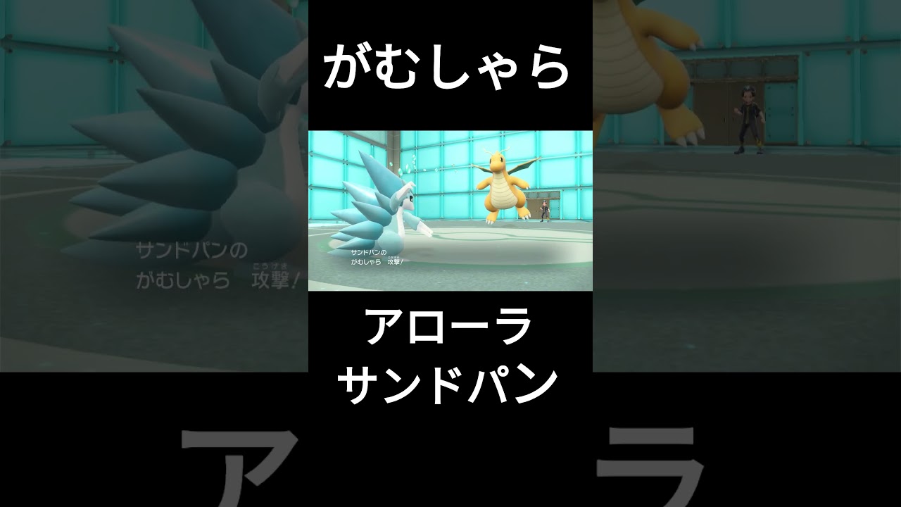 アローラサンドパン カウンター職人 #ポケモンsv＃アローラサンドパン