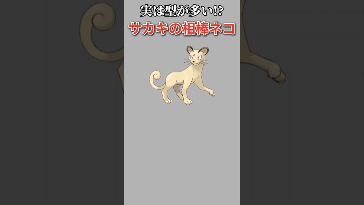 【ポケモン】実は型が多いサカキの相棒ネコ「ペルシアン」【ポケモン解説事典】#初代ポケモン#ポケモン解説事典