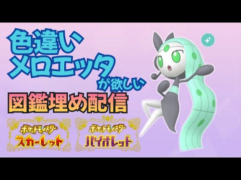 【図鑑埋め配信】色違いメロエッタが欲しい！