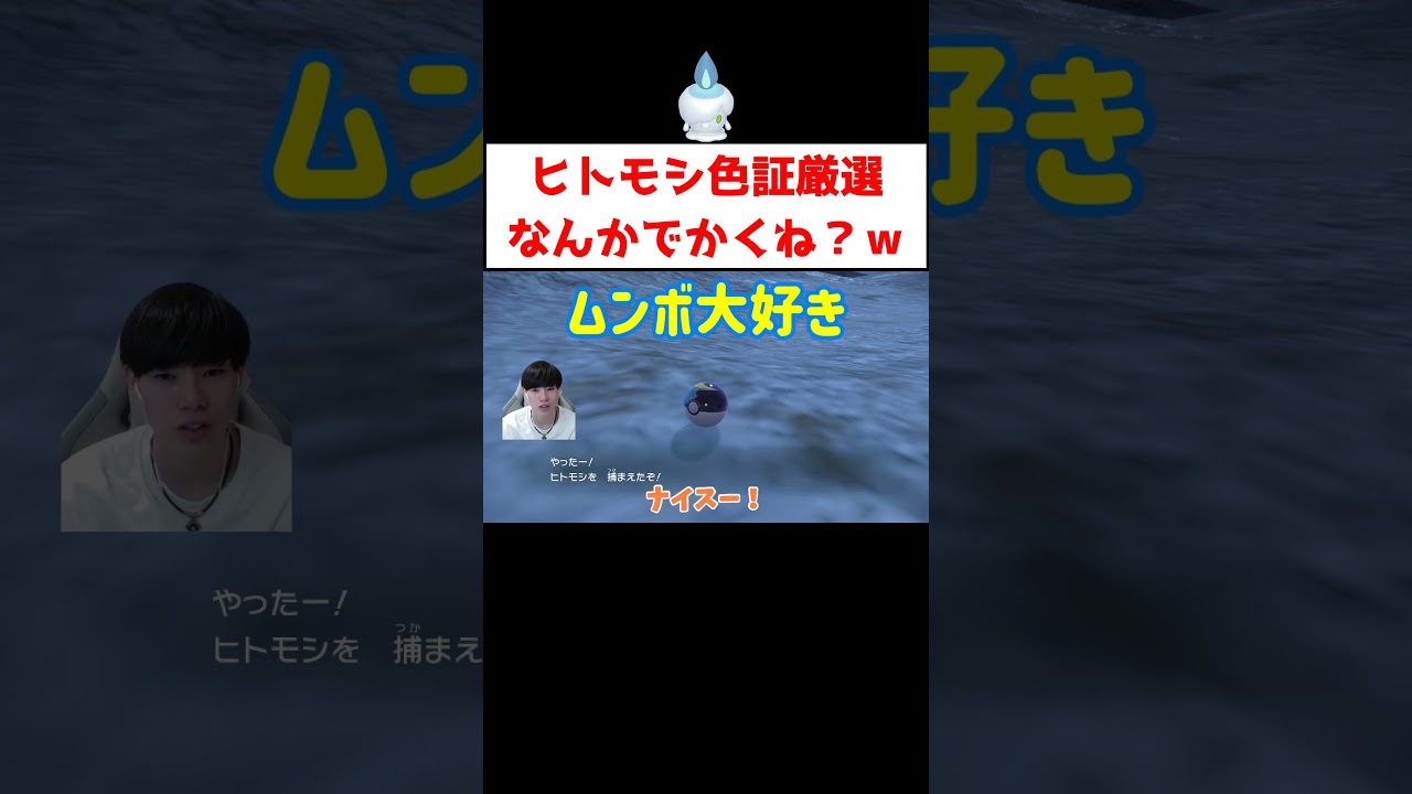 ヒトモシ色証厳選 #ゲーム実況 #shorts #ポケモン #ポケモンSV #ヒトモシ