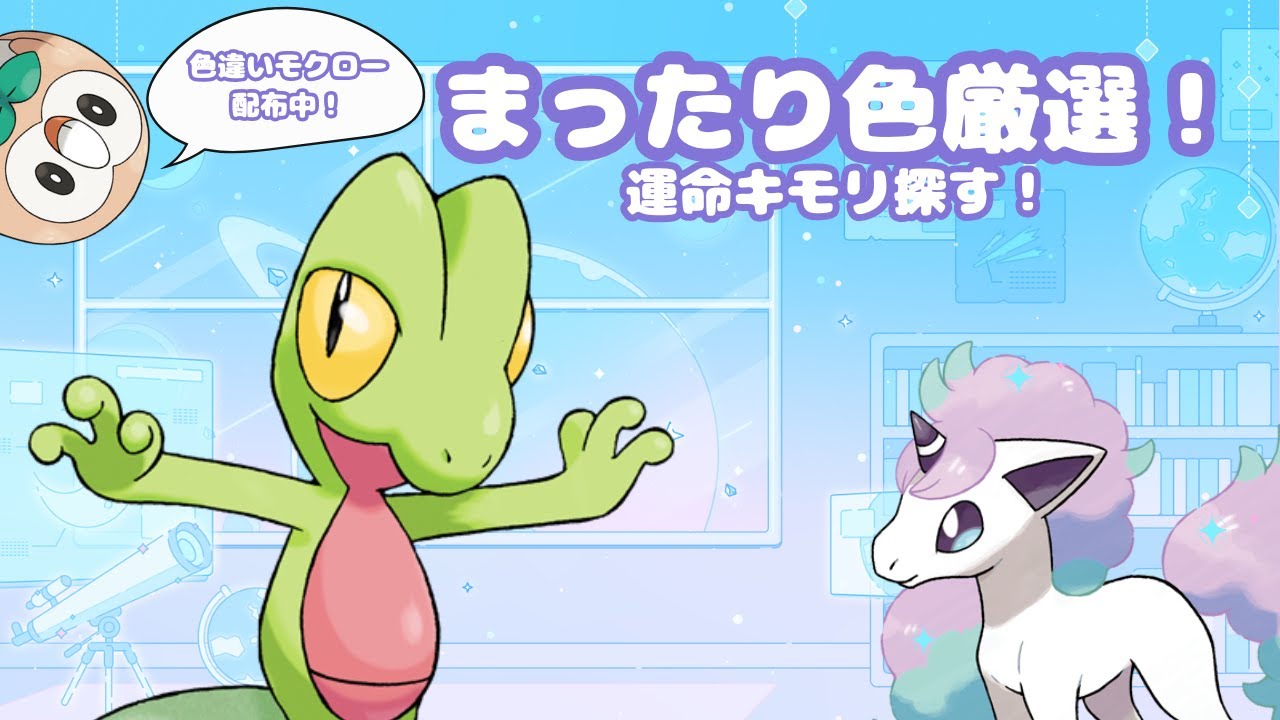 【ポケモンSV】運命証キモリ！色違いモクロー配布中！まったり厳選！