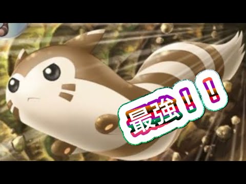 【ポケモンSV】最強のオオタチ！！厳選後対戦したらやはり強かった！！(2/2)