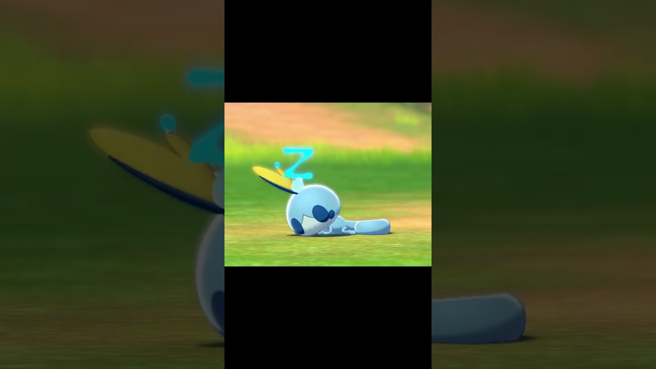 寝ているメッソン　#Shorts