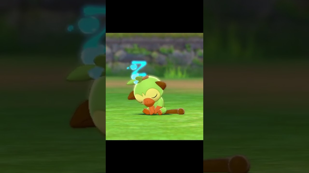 寝ているサルノリ　#Shorts