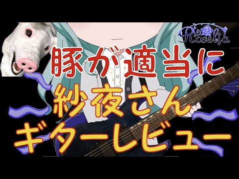 BanG Dream! 氷川紗夜ファンなら買い!？初心者にもおすすめ!？ROSELIA SAYO M-II ギターレビュー