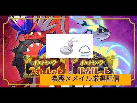 【ポケモンSV】濃霧の証ヌメイル厳選