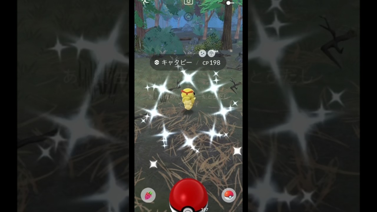 【ポケモンGO】キャタピーの色違い降臨！キャタピー→トランセル→バタフリー！#shorts #pokemongo #ポケモンgo
