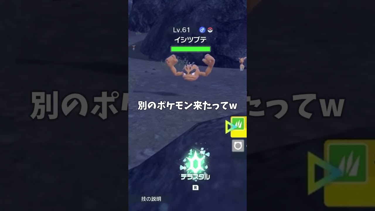 ロコンの厳選してたんだしっ #ポケモンsv