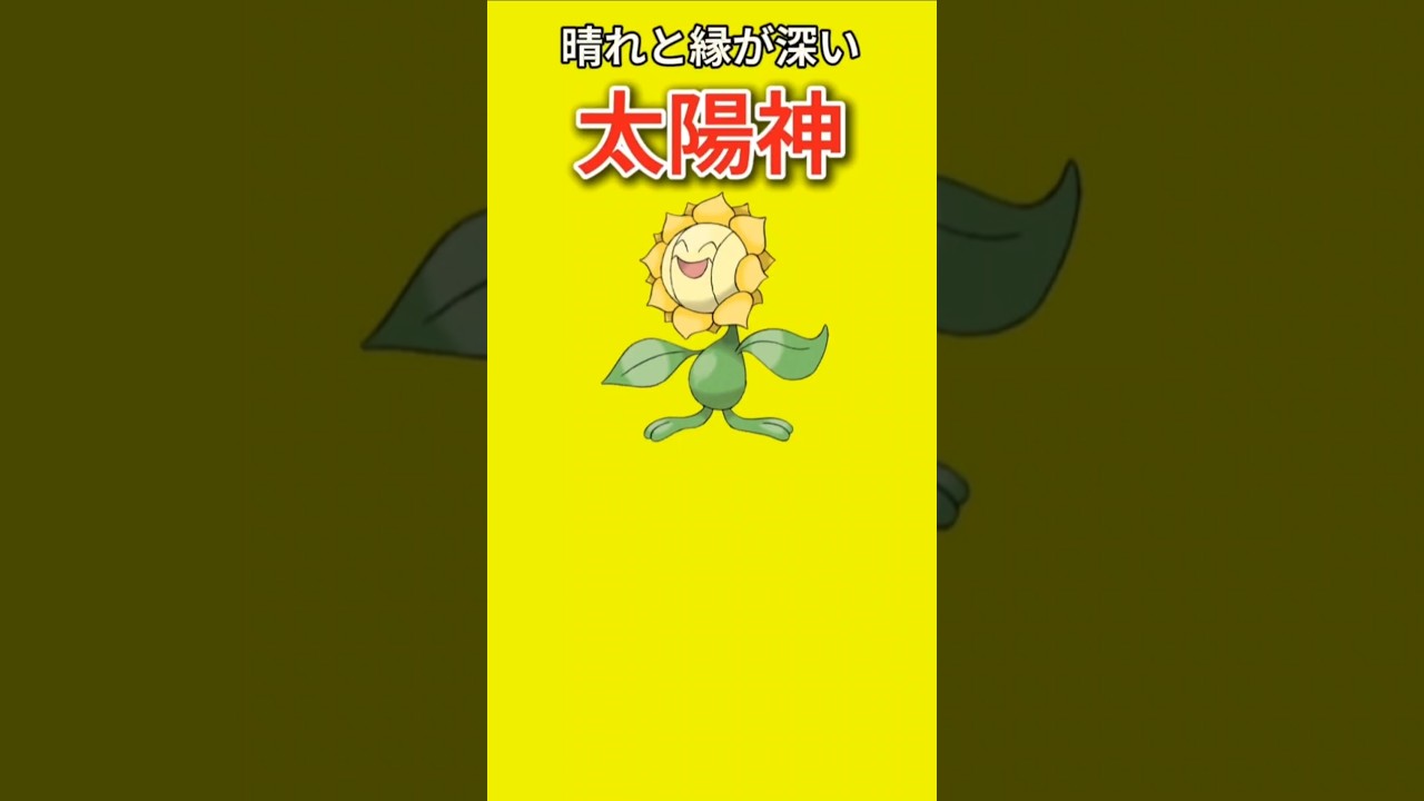 【ポケモン】晴れと縁が深い太陽神「キマワリ」【ポケモン解説事典】#ポケモン金銀#ポケモン解説事典