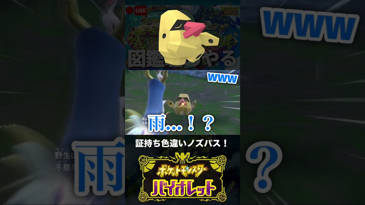 図鑑埋め中に色証ノズパスに邂逅した男【ポケモンSV】 #shorts