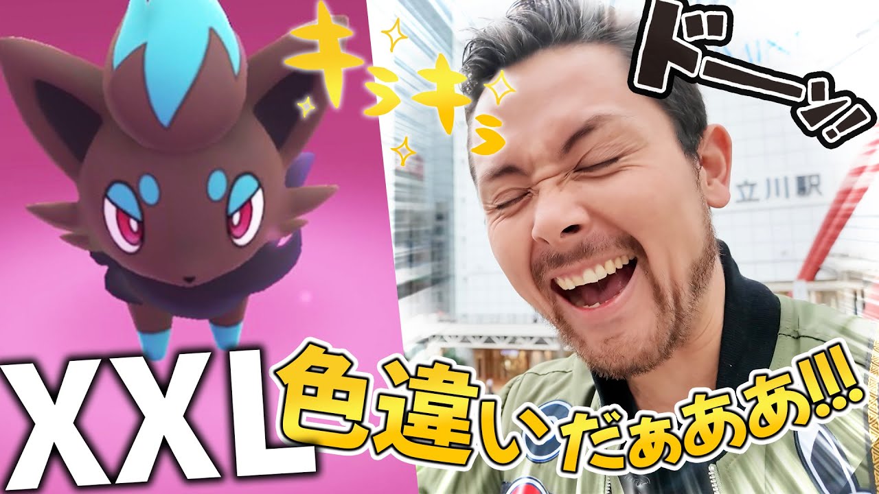 XXL色違いゾロアを狙う方法！！！このチャンスを見逃すな！！【ポケモンGO】