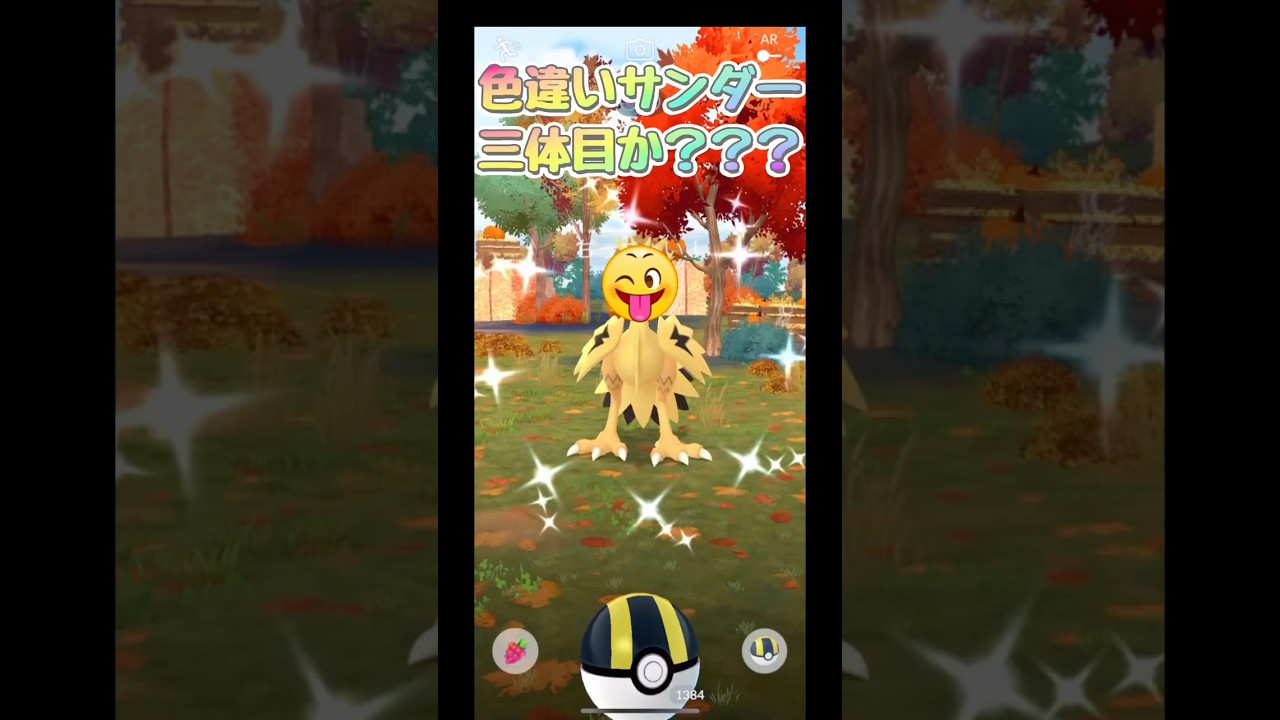 過疎地にガラルサンダー2体出現か⁉️