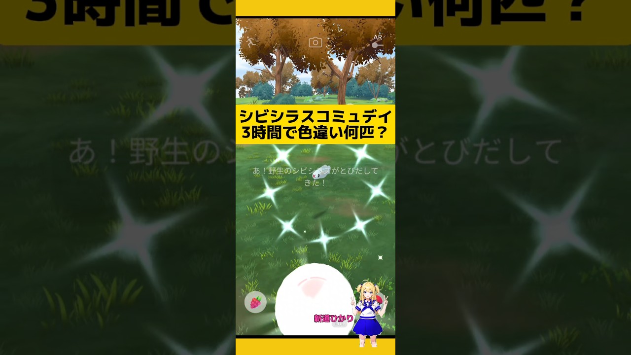 シビシラスコミュデイ3時間やった結果色違い大量ゲット⁉#ポケモンgo #シビシラス #コミュニティデイ #色違い #pokemongo #新道ひかり