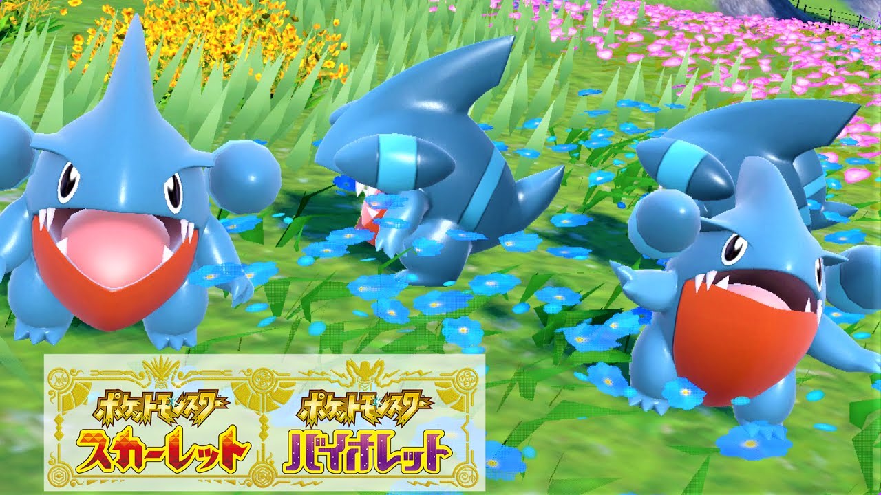 【可愛い】フカマル６匹に囲まれて癒されピクニック【ポケモンSV】