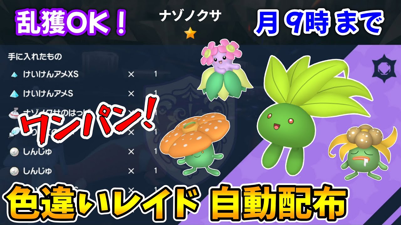 乱獲OK！ナゾノクサ色違いレイド自動配布会！【ポケモンSV】
