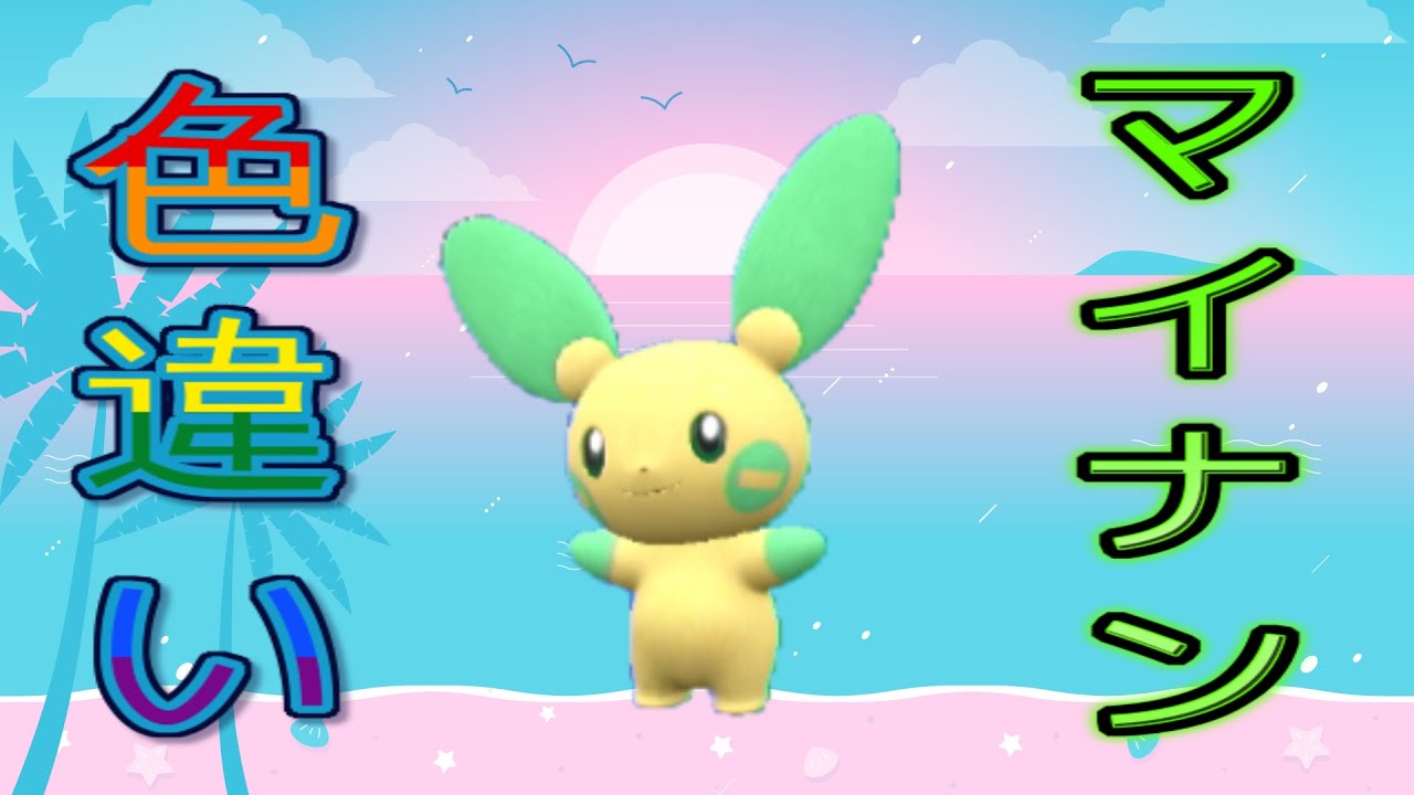 【自動貼り】色違い  マイナン レイド配布【ポケットモンスタースカーレット＆バイオレット】