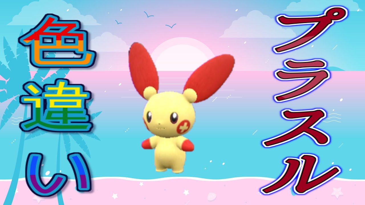 【自動貼り】色違い  プラスル レイド配布【ポケットモンスタースカーレット＆バイオレット】