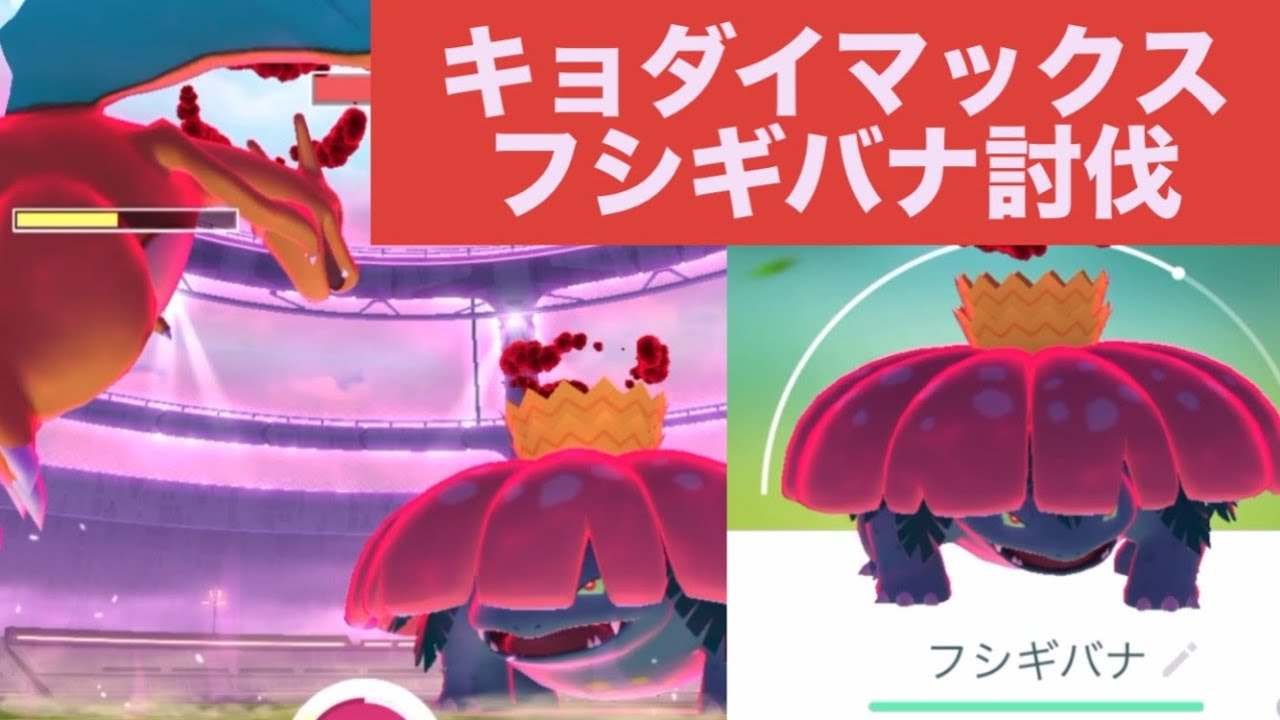 キョダイマックス フシギバナ討伐
