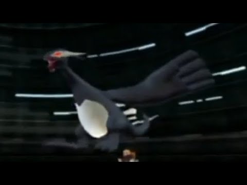 デンリュウメインでポケモンXDやるぞーっ！5【ポケモンXD】