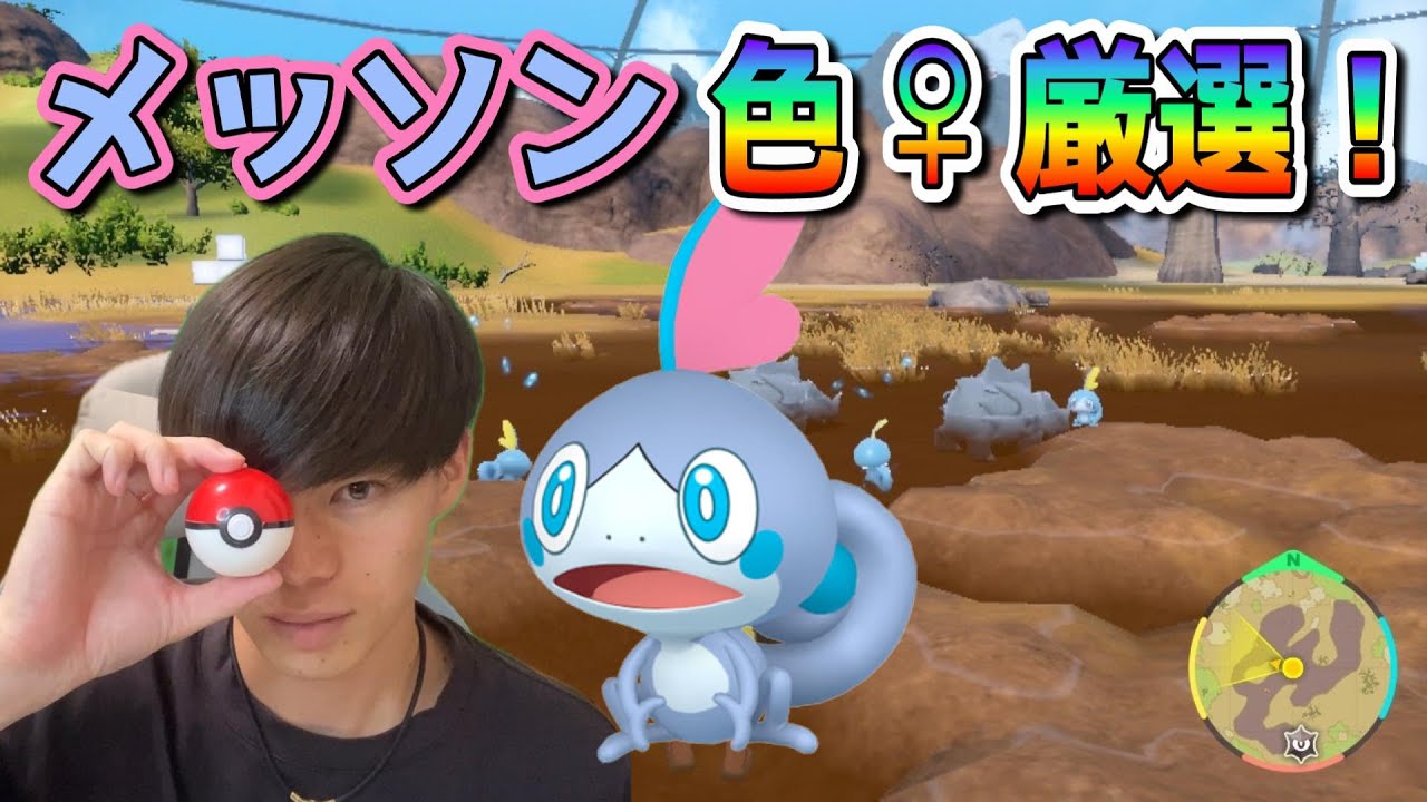 メッソン色違い♀狙い！あわよくば証持ち！【ポケモンSV】