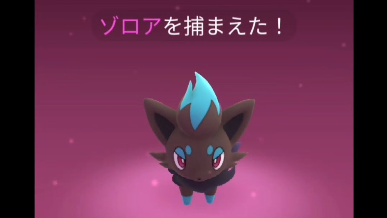 ポケモンGO　最近の色違い　ゾロア　100体目くらいでやっとでた😅
