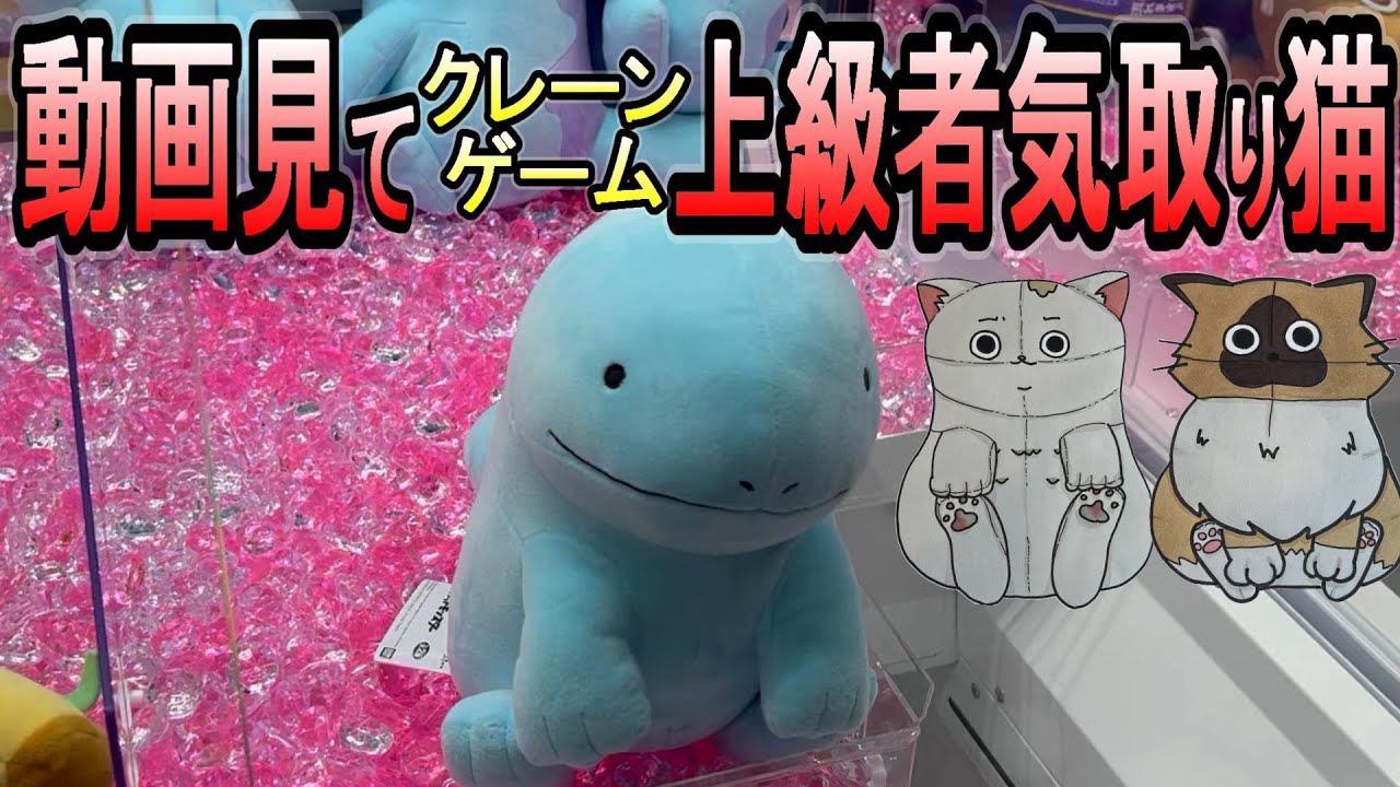 【ポケモン】キュートなヌオーGETだぜニャ！【クレーンゲーム】