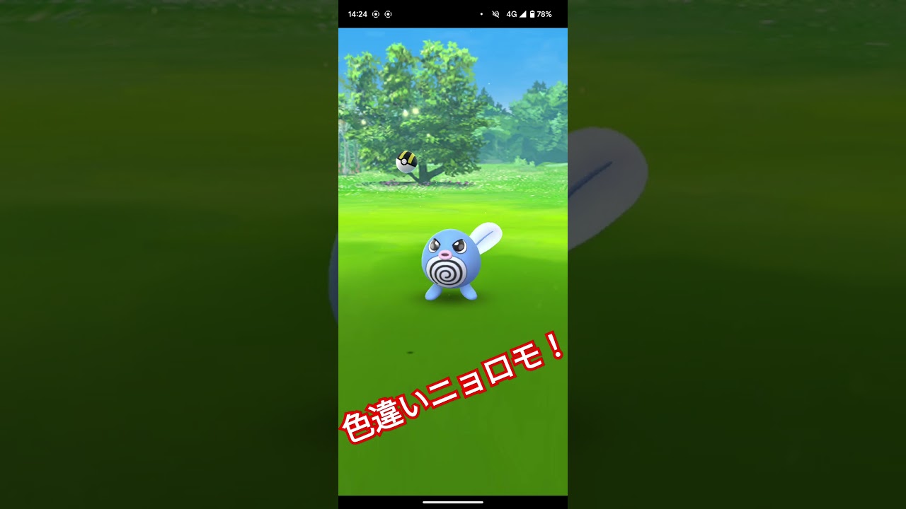 色違いニョロモ！ #anime #アニメ #music #ポケモンgo #海軍 #74式戦車 #automobile #アメリカ空軍 #自衛隊 #米軍基地 #色違い　#北朝鮮　#陸上自衛隊