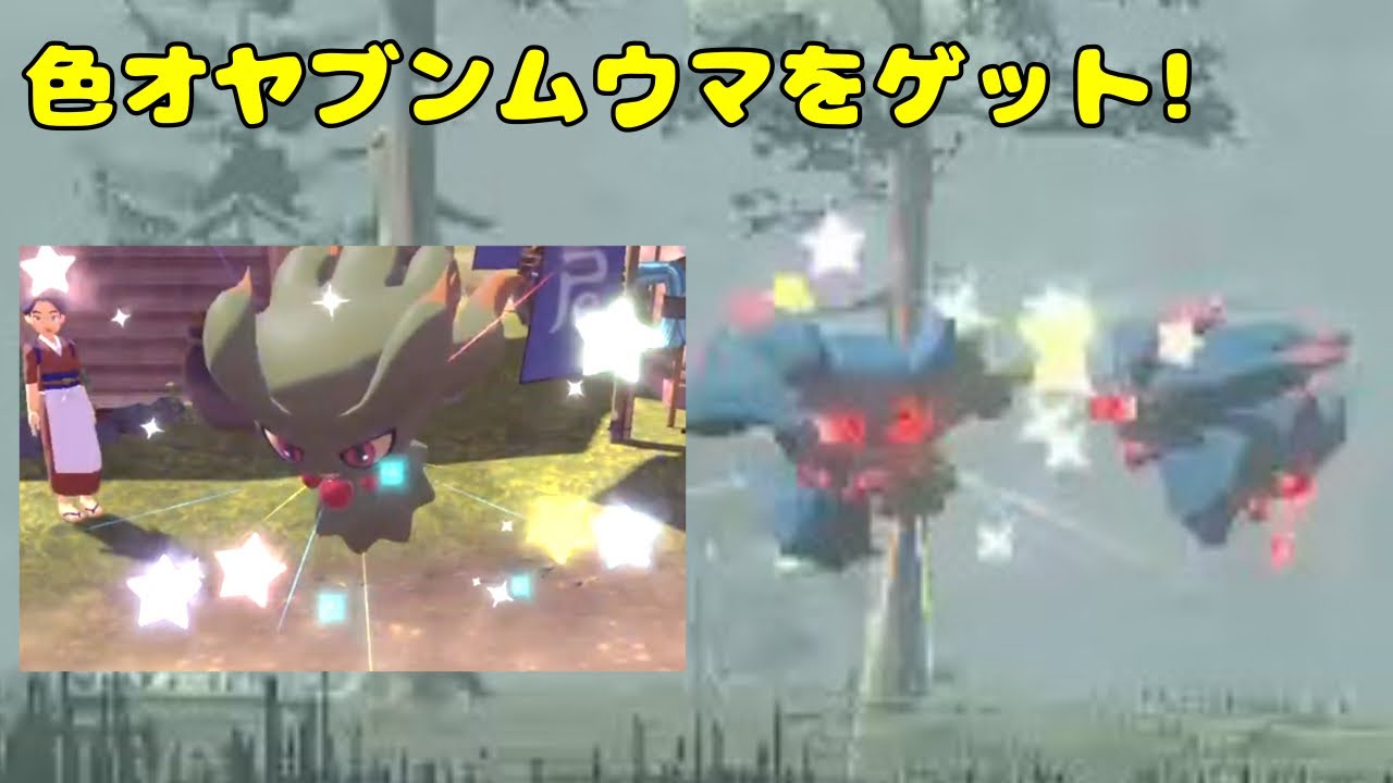 【雑談配信】色違いオヤブンラムパルドをゲットしたい！ついでに歪み待ちながらお絵かきするかも！雑談大歓迎！　ポケモンレジェンズアルセウス　色親分厳選