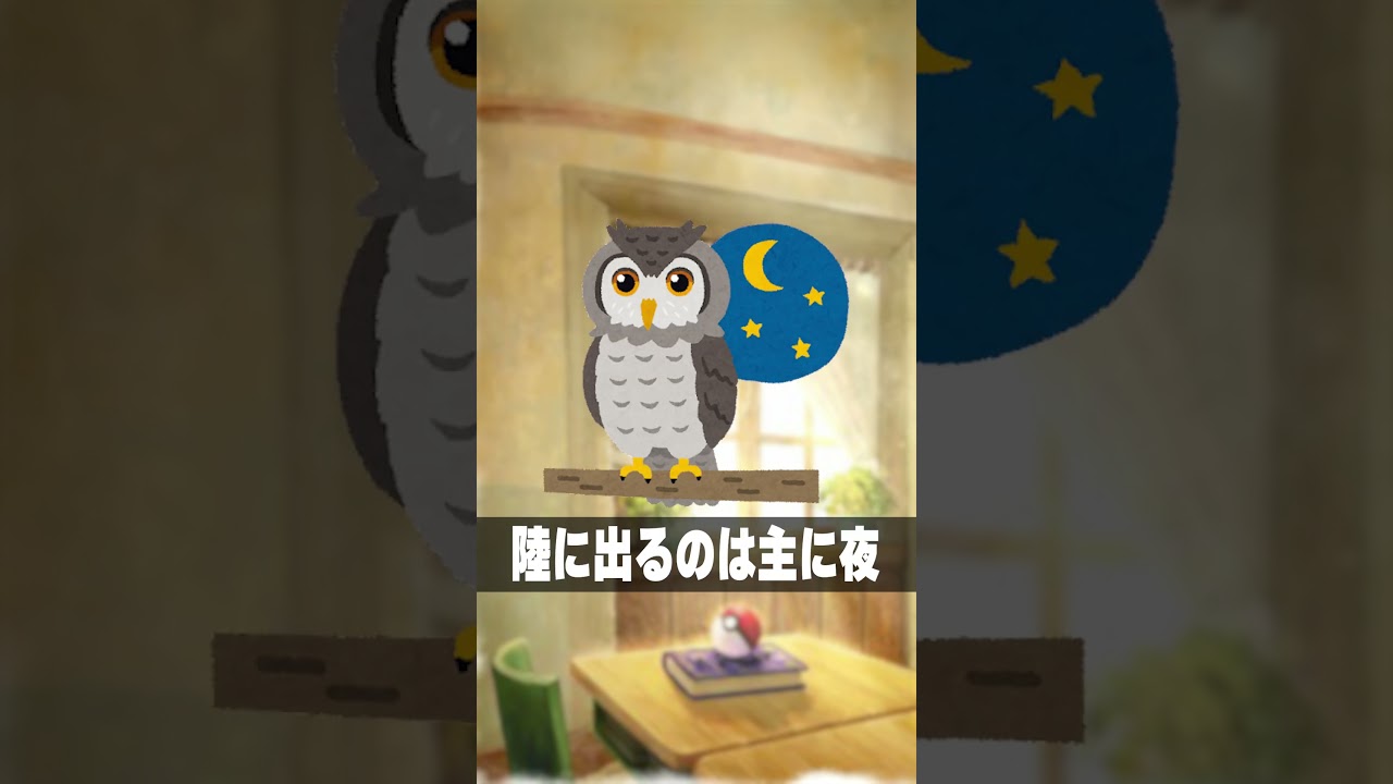 カバルドンが(生物として)最強すぎる　#shorts #short #ポケモン #ポケモン図鑑