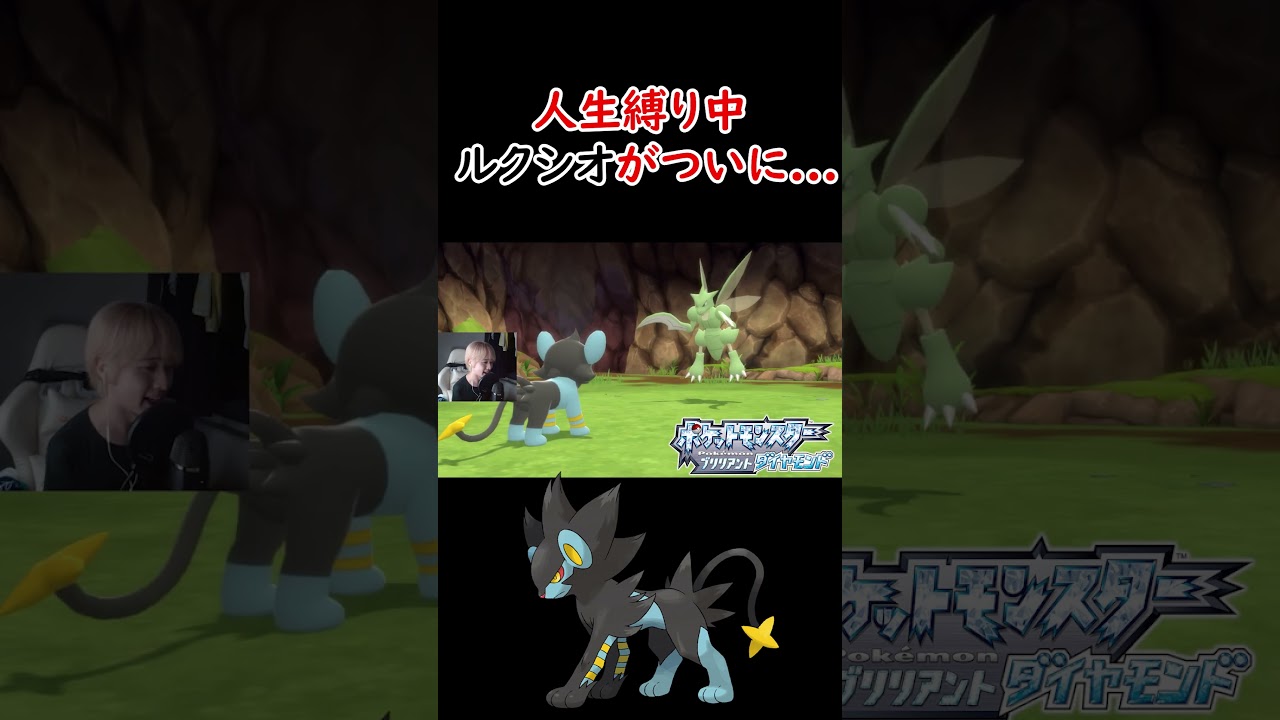 ついに相棒のルクシオが！！！！！ #ポケモン #ゲーム実況 #ポケットモンスター  #ポケモンDBSP #pokemon #人生縛り  #shorts