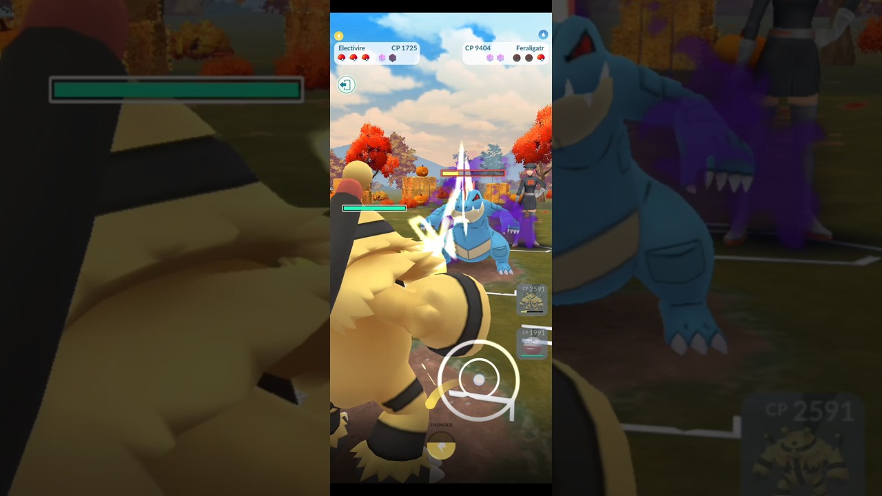 Electivire vs Team Rocket Grunt⚡⚡