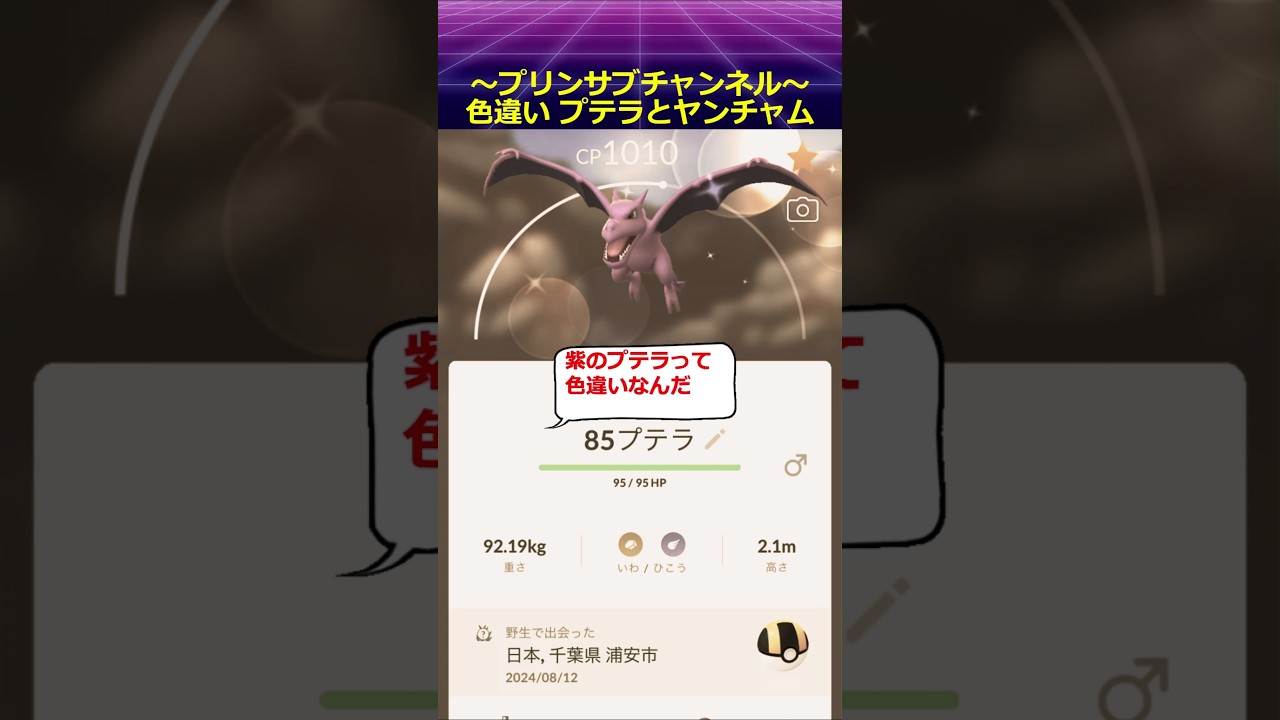 🐱‍🐉レアなの？🦝 色違い プテラとヤンチャム ポケモンgo #プテラ #ヤンチャム #pokemon #pokemongo
