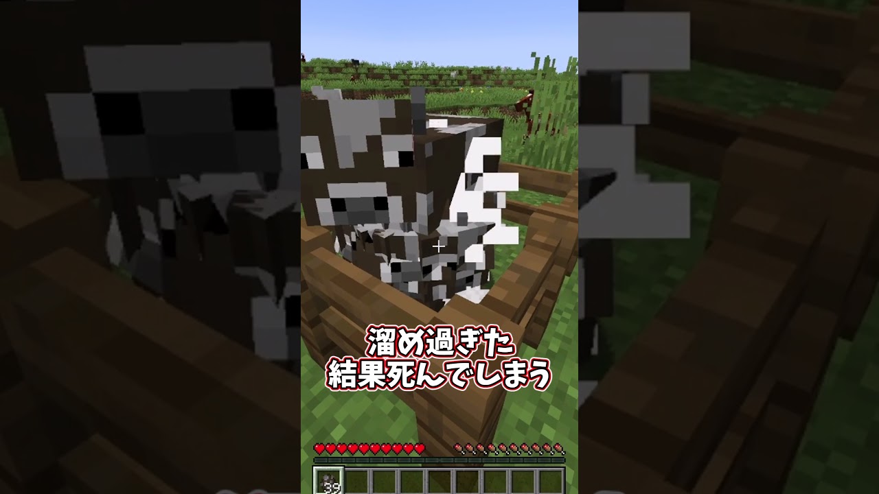 【当たり前】これ知らないわけないだろ！ってマイクラの仕様３選！！【ゆっくり実況/ゆっくり茶番】【マインクラフト/マイクラ】#shorts