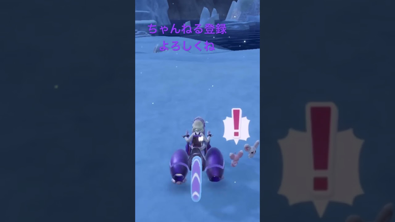 色違いチラーミィ発見！