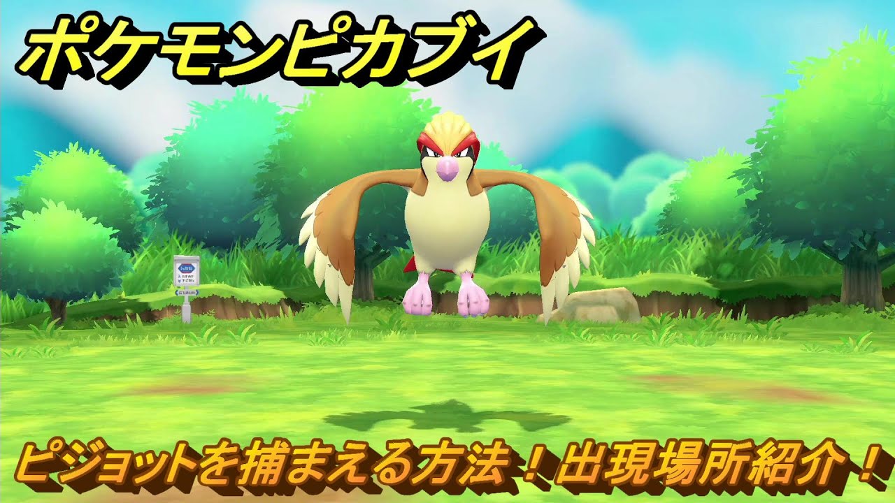 ポケモンピカブイ　ピジョットを捕まえる方法！出現場所紹介！図鑑コンプへの道！　【ポケットモンスター Let's Go! ピカチュウ・イーブイ】