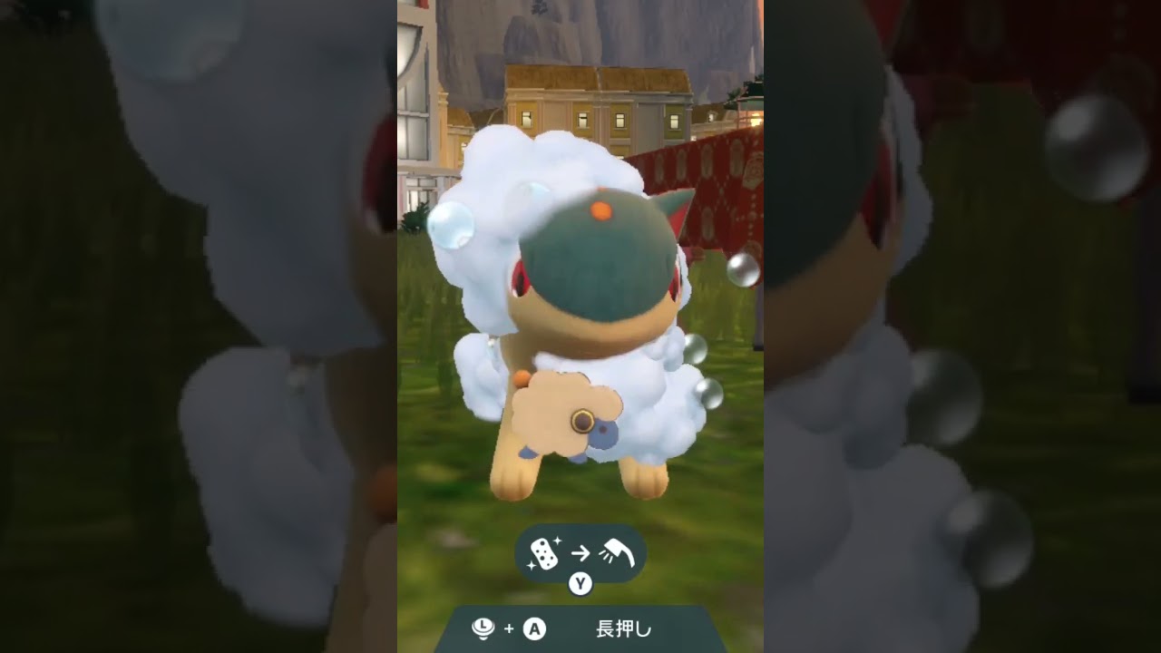 マグマラシ Quilava【ポケモンsv】