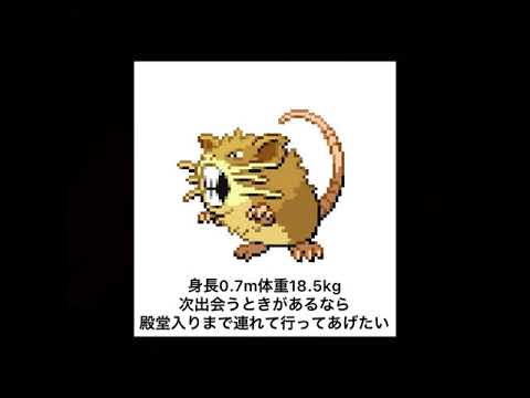 【ポケモン鳴き声真似】俺よりラッタ上手いやついる？#short