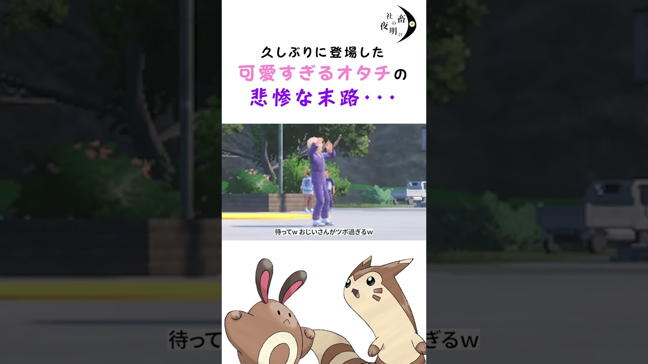 久しぶりに登場したオタチの悲惨な末路#ポケモンsv