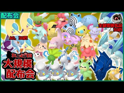 色違いネクロズマ・色スイクン５匹・色クレセリア3匹・色ヒスイゾロア3匹など色違い数百匹以上大規模配布会！概要欄必読！！【ポケモンSV #れっどの大規模配布会】