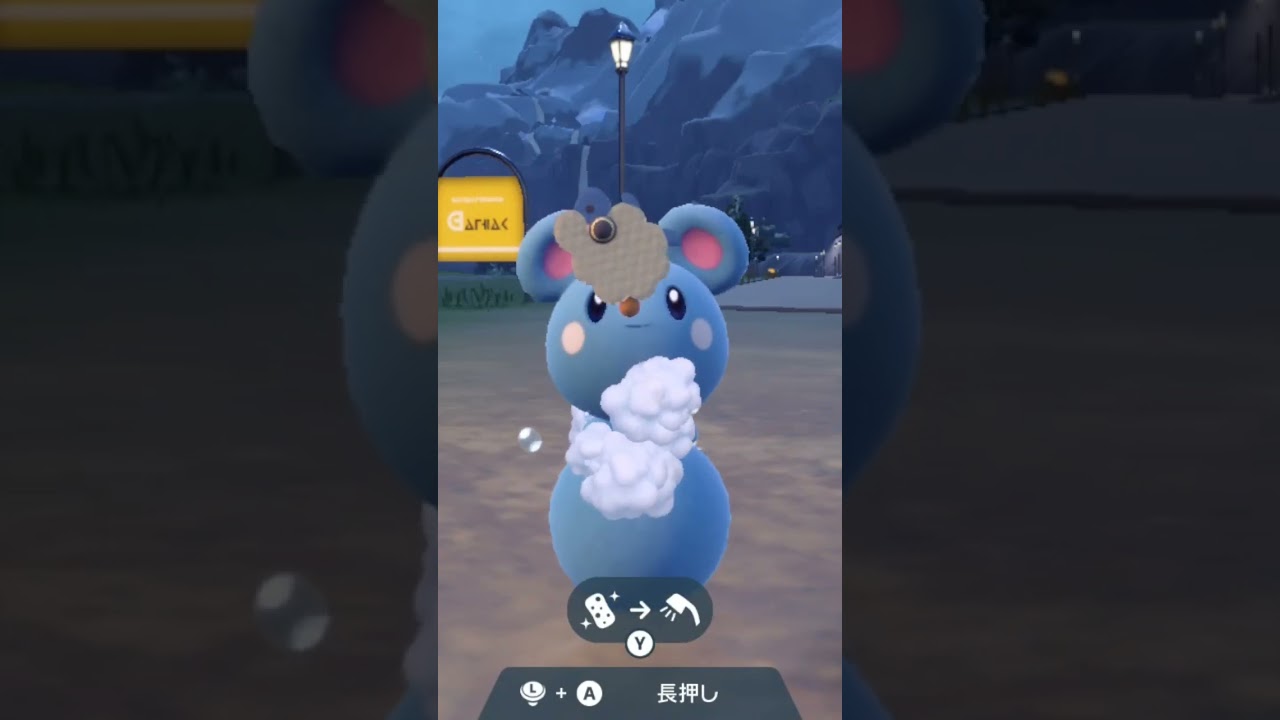 ルリリ Azurill【ポケモンsv】