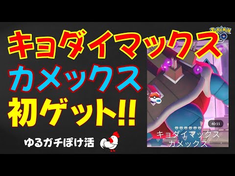 本編【キョダイマックスーカメックス！32人討伐】完勝しました #ポケモンGo #カメックス #キョダイマックスバトル