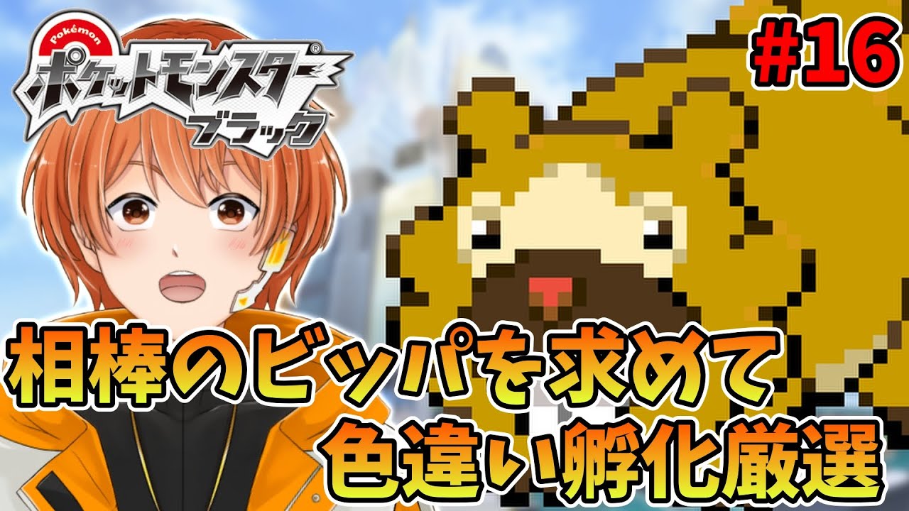 【色違い厳選】孵化厳選編 色違いのビッパ一匹だけで殿堂入り目指す！ #16【ポケモンBW】