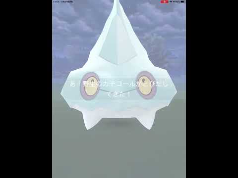 【ポケモンGO】初めて、野生のカチコールに遭遇！