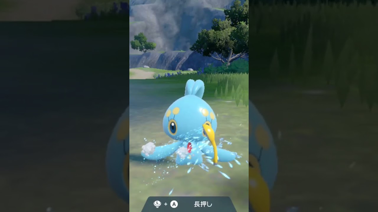 マナフィ Manaphy【ポケモンsv】